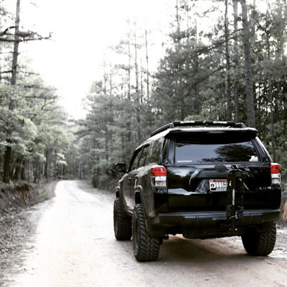 Meet your Posher, Daniel - Picture 1 of 1